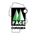 6-face cdoba